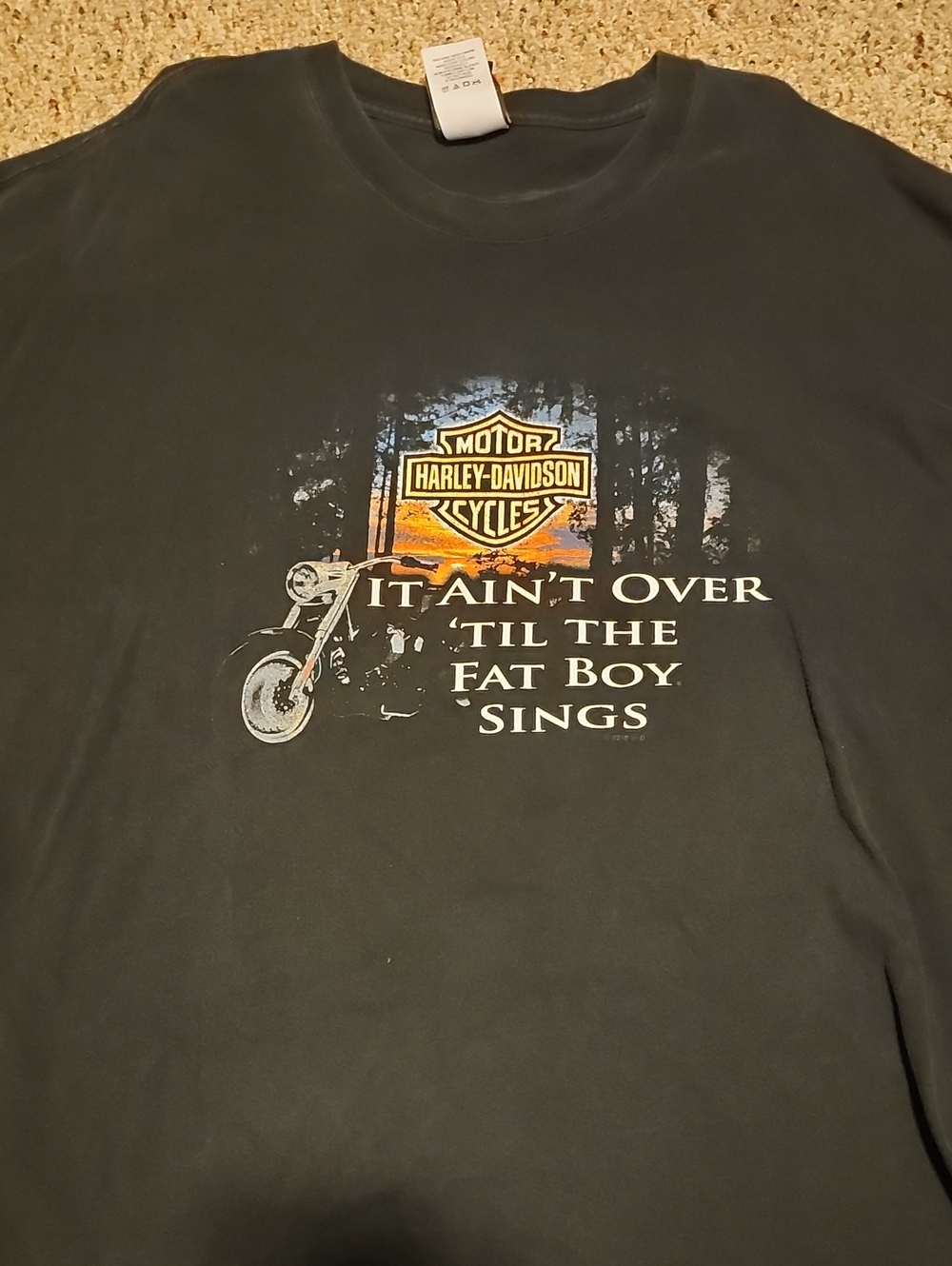 Harley-Davidson Black Short Sleeve 4X FAT BOY SINGS Tee - NV